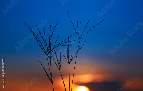 Colorful sky of sunset with grass