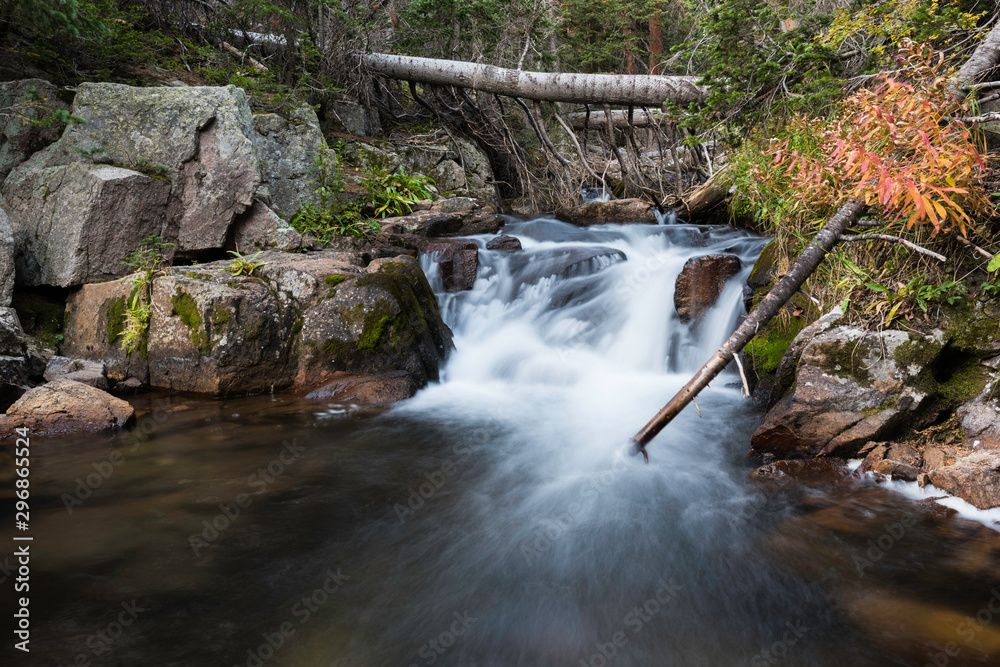 Fototapeta premium Small Waterfall Stream