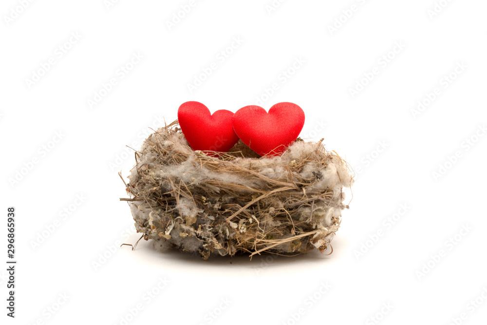 Two red hearts are laying together in nest. Relationship concept