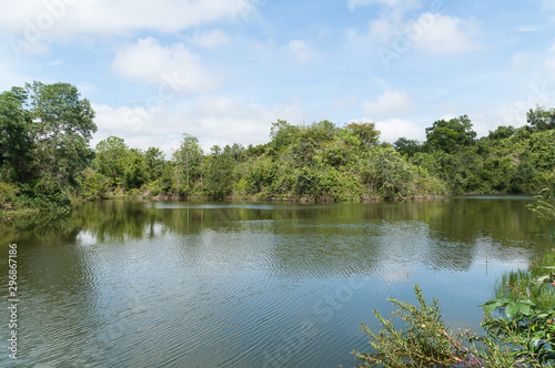 Beautiful and peaceful natural lake surrounded by trees on a sunny day.