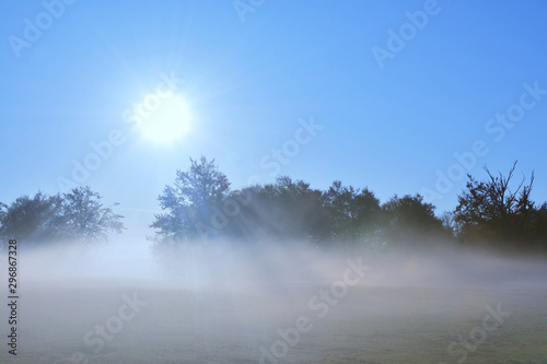 sunrise on a field with fog