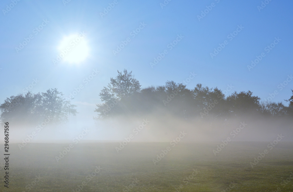 Fototapeta premium sunrise on a field with fog