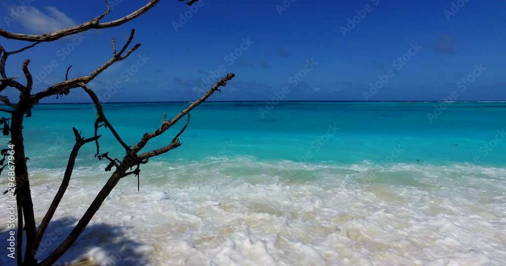 Close up of branch of dried bush blend over white ocean waves on blue sky background, Chatham Islands Close up of branch of dried bush blend over white ocean waves on blue sky background, Chatham Islands