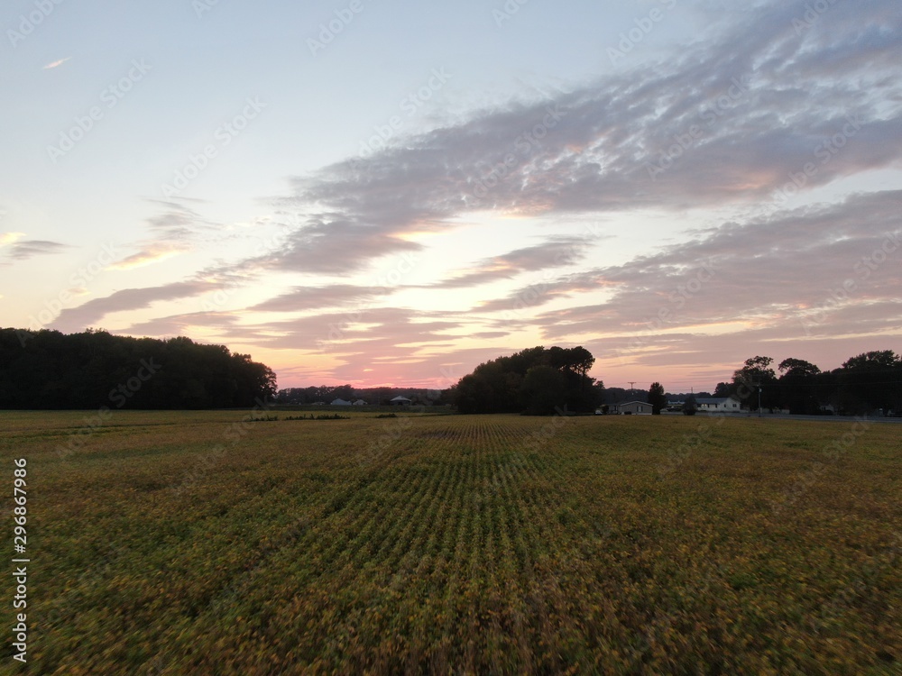 Obraz premium default