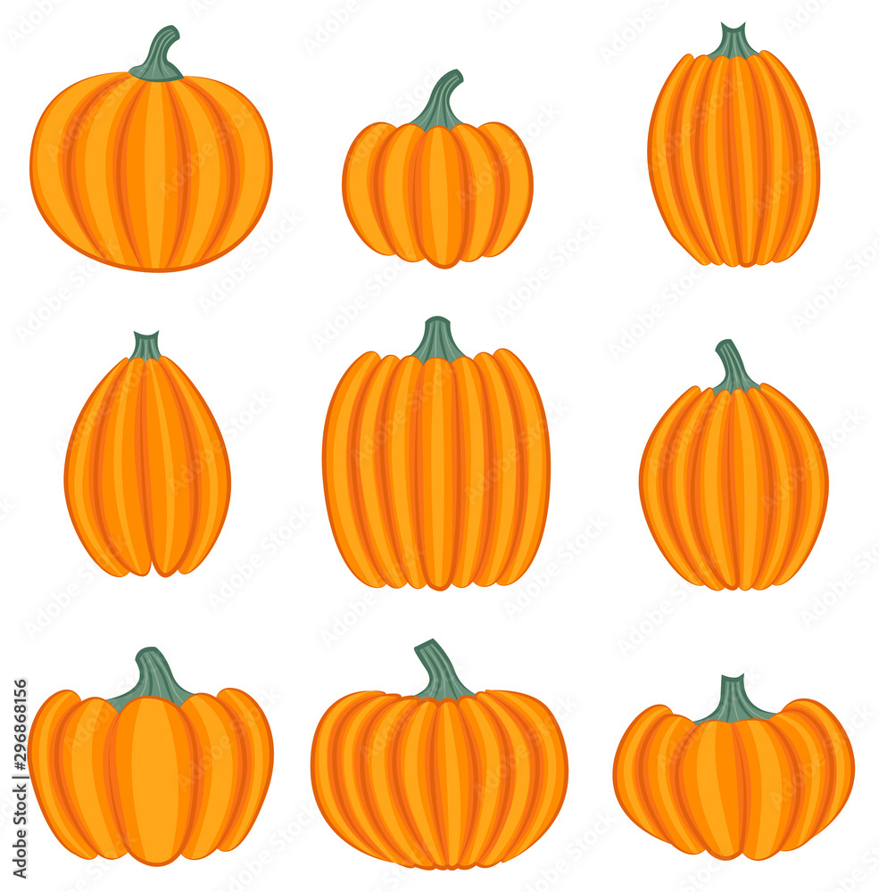 Set of pumpkins isolated on white background. Vector illustration.