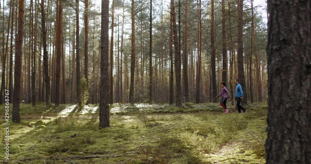 WIDE TRACKING Middle aged Caucasian couple or friends practicing nordic walking on a scenic forest trail in autumn. 4K UHD 50 FPS SLOW MOTION RAW graded footage WIDE TRACKING Middle aged Caucasian couple or friends practicing nordic walking on a scenic forest trail in autumn. 4K UHD 50 FPS SLOW MOTION RAW graded footage