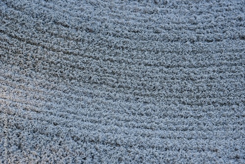 Close up of raked sand in a golf course sand trap.