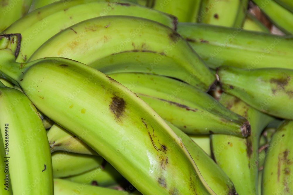 Natural food - Colombian green banana-musaceae family