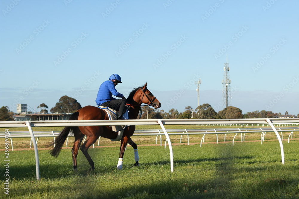Fototapeta premium rasowych koni wyścigowych trenujących na torze konnym w ramach przygotowań do międzynarodowych wyścigów konnych wczesnym rankiem, piątek 18 października 2019 r., Melbourne, Victoria