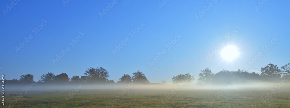 Fototapeta premium autumn morning with fog in the field