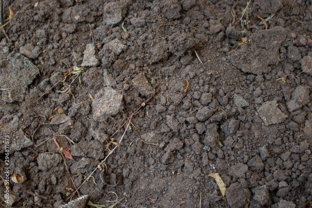 Ground texture background of desert soil Ground texture background of desert soil