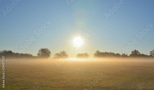 sun and fog on a field with trees