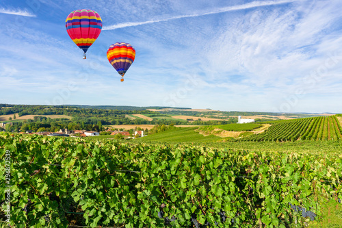 Hot air balloons flying over champagne Vineyards