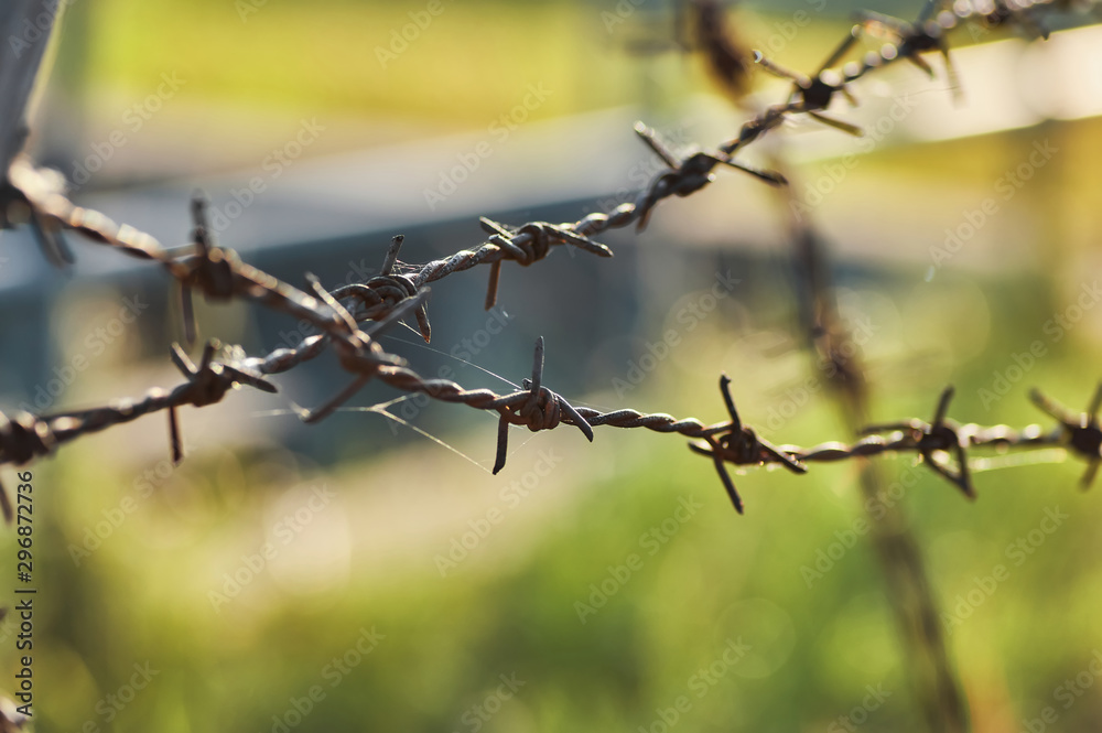 The old rusty barbed wire The old rusty barbed wire