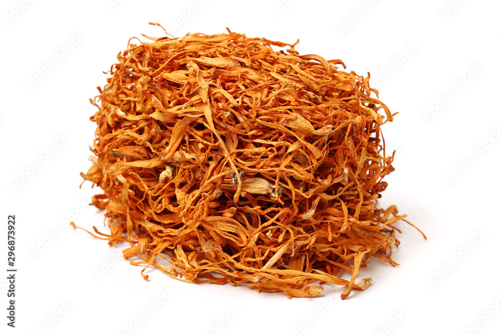 Dried cordyceps militaris mushroom isolated on white background Dried cordyceps militaris mushroom isolated on white background