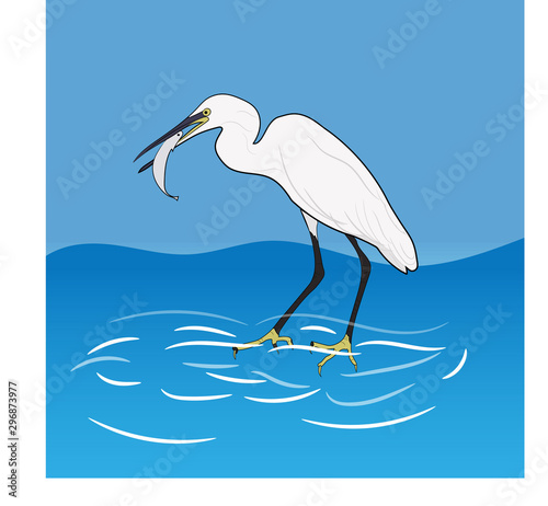 Eastern Great Egret Eating Fish In Mount, vector illustrations