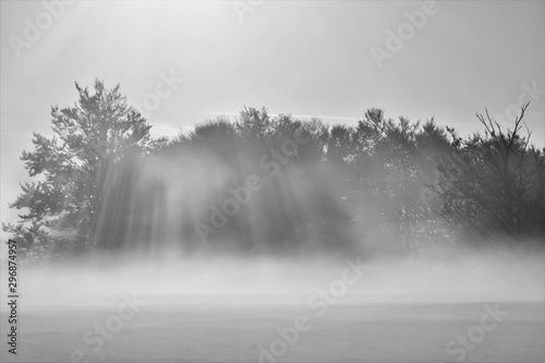 the sun's rays through the morning mist