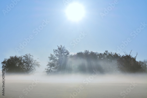 the sun's rays through the morning mist