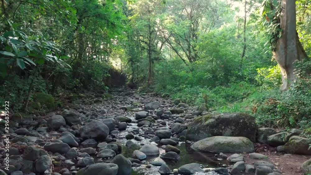 Arroyo de valle en México (Nacimiento de agua)