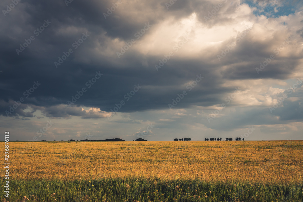 Fototapeta premium thunderclouds with sunbeams over a wheat field