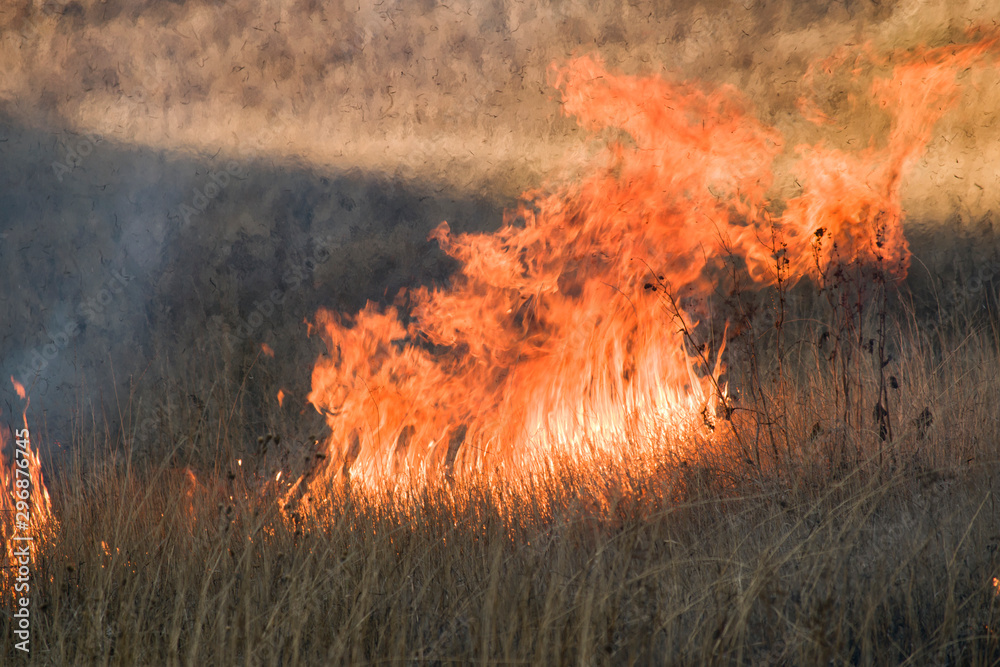 Fototapeta premium Fire and smoke, dry grass burns on a hillside. Hot autumn