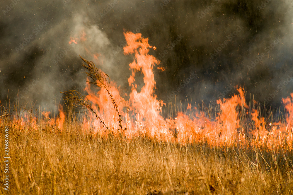 Fire and smoke, dry grass burns on a hillside. Hot autumn