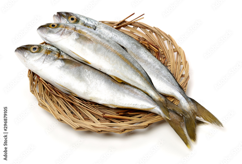 Mackerel on white background