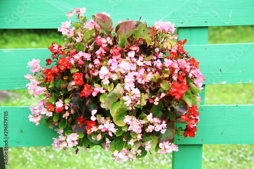 青い板壁をバックにベコニアの花束