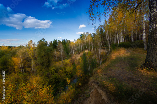 Autumn landscapes from the city park