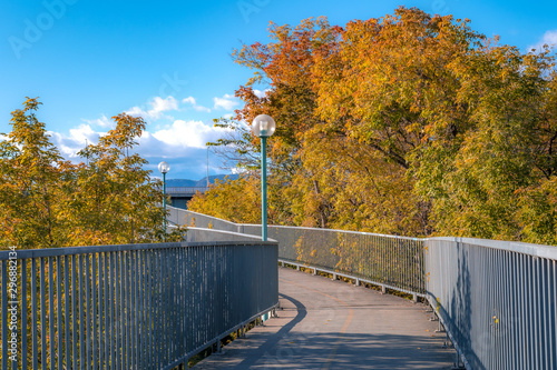 Winding pathway straight ahead, pedestrian pathway bridge with rails and street light with bulb, yellow and orange foliage leaves, lush trees, sunny day, blue sky Peaceful urban and nature landscape.
