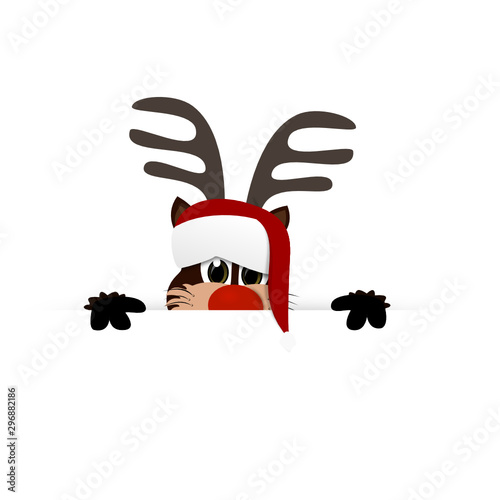 Red Nose Reendier Rudolf photo