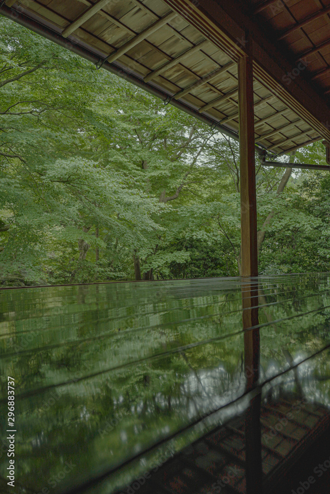 京都 瑠璃光院 お寺 写真素材 旅行 観光 日本庭園 寺 寺社仏閣 Stock Foto Adobe Stock