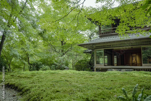 京都 瑠璃光院 お寺 写真素材 旅行 観光 日本庭園 寺 寺社仏閣