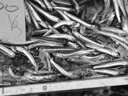 Fish at seamarket photo