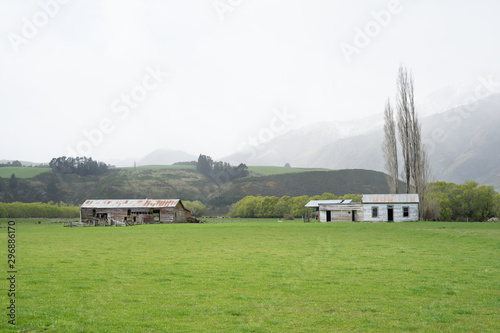 Old rustic barn in the middle of green grass field or dairy farm in New Zealand during misty morning.