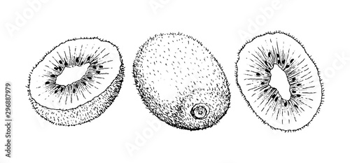 Hand drawn kiwi isolated on white background.
