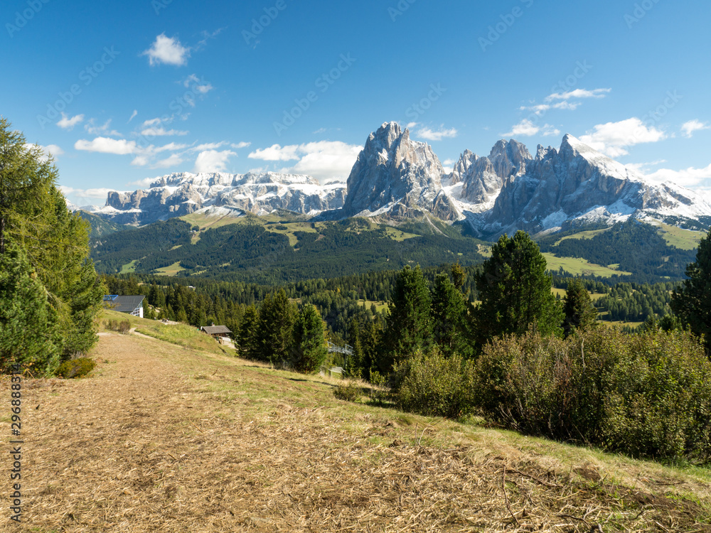 Italy, september 2017: Breathtaking landscape of Secada, Ortisei, Italy. Focus on Dolomite mountain and blurred foreground of yellow wild flower field