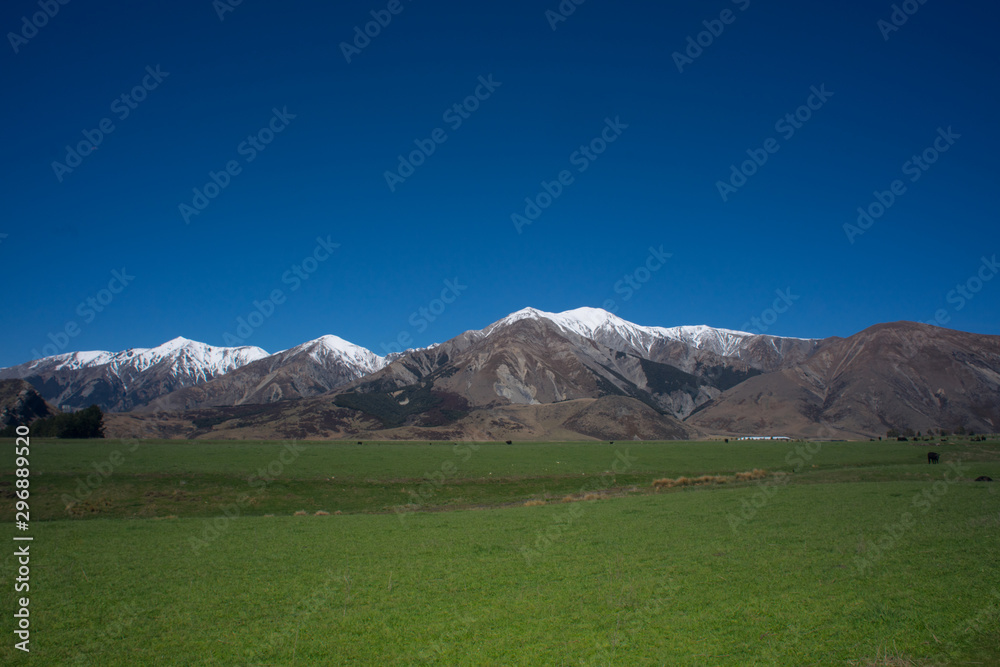 Beautiful scenery of snowcap mountain with green dairy farm in Arthur's Pass,New Zealand.
