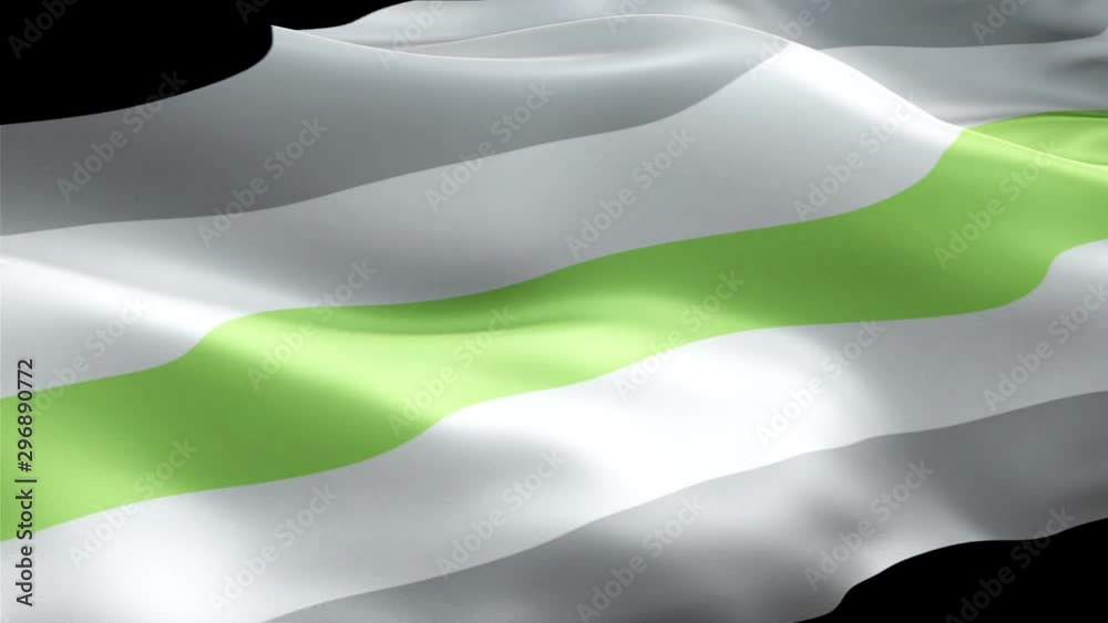 15 Best Agender Flag Images Stock Photos Vectors Adobe Stock