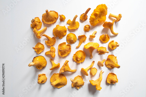 Chanterelle mushrooms image. A set of eatable mushrooms