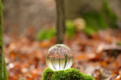 Foto Reflection of trees, leaves and forest with beautiful autumn colour inside lensball