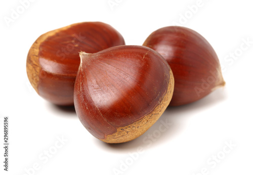 Sweet chestnut on white background. photo