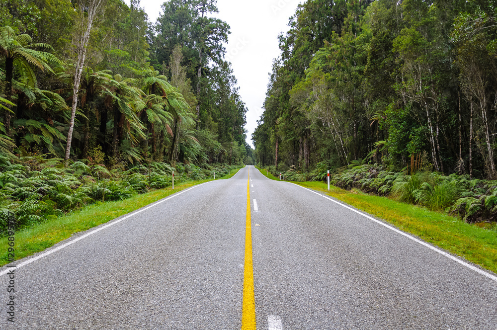 New Zealand summer Road Landscape, South Island, New Zealand