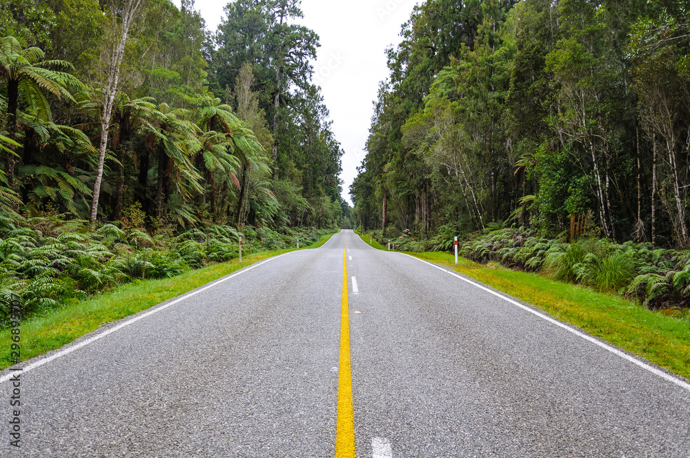 Obraz premium New Zealand summer Road Landscape, South Island, New Zealand