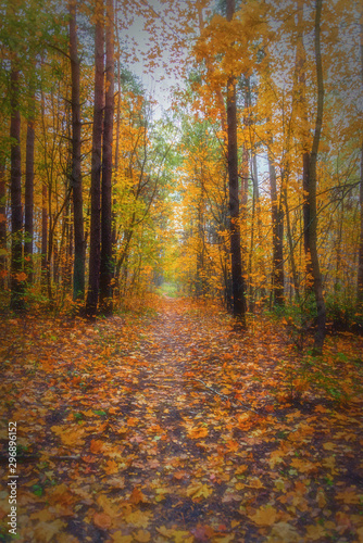 Retro Old Style Photograph of a Forest Path in Autumn in Northern Europe