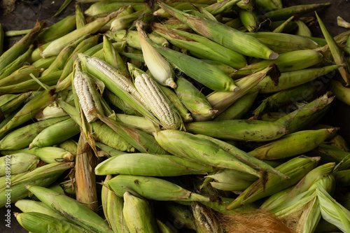 ears of corn in the market
