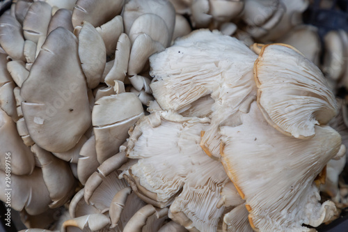 mushrooms in the market
