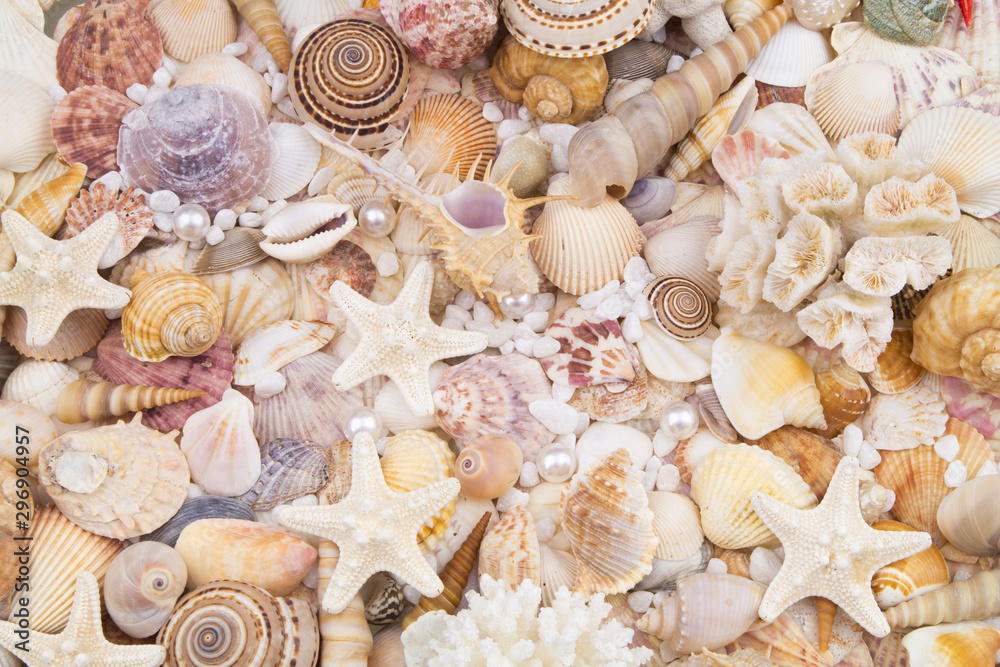 Seashells, pearls and starfishes as background Seashells, pearls and starfishes as background