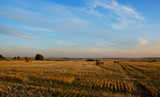 Beautiful sunset view of haystacks on farm field