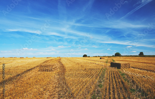 Summer sunny country landscape with haystacks in farm field